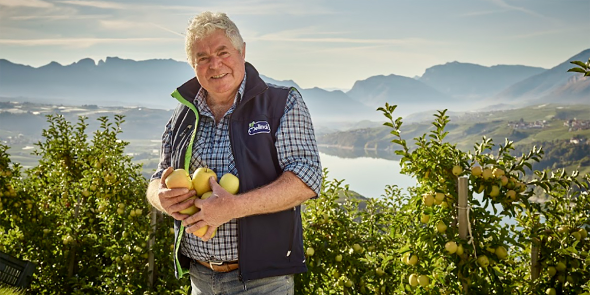 Val di Non e Val di Sole: 5,2 milioni per il progetto "Mela In-forma"